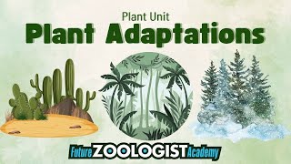 Plant Adaptations | Adaptations That Help Plants Survive