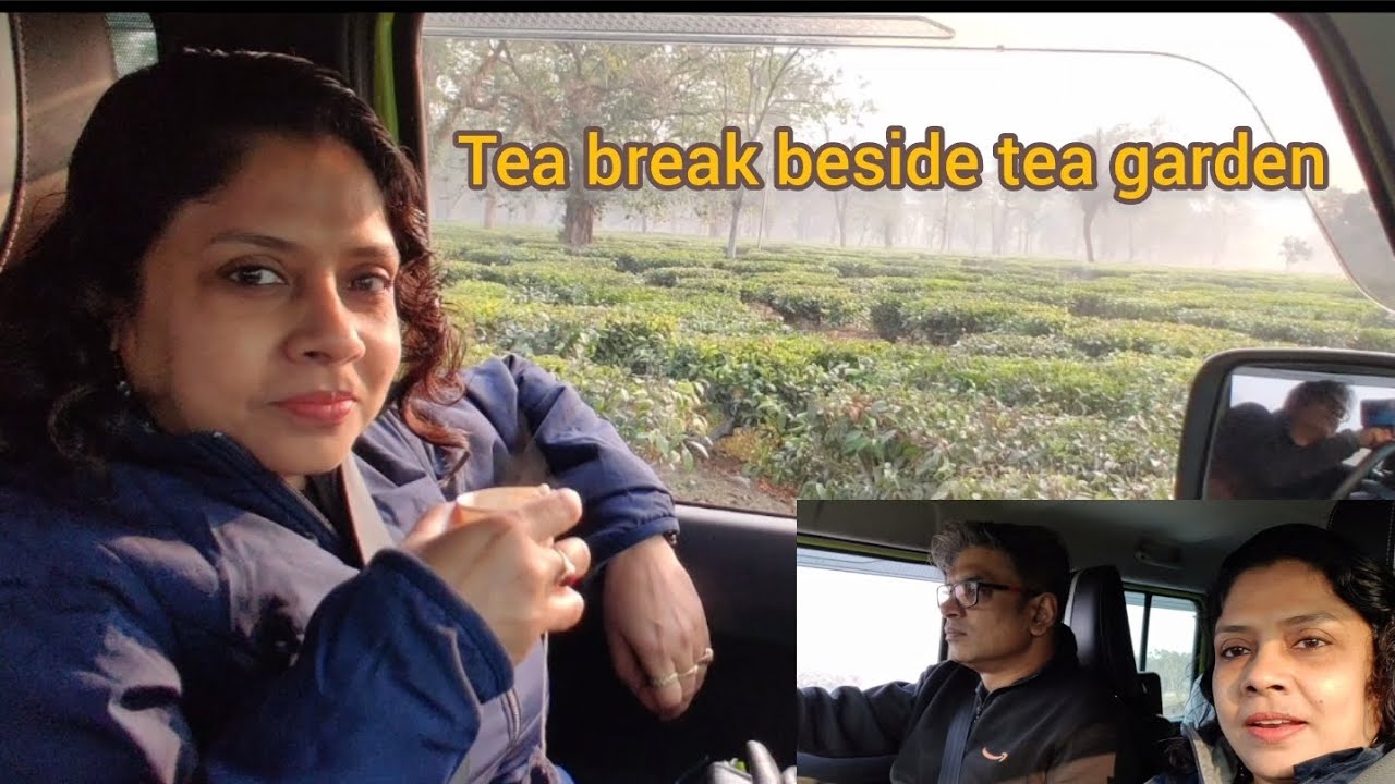 Trip to Dooars (Episode -4) Last date road trip...