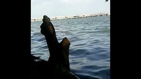 Góc sông Đồng Nai | cầu Hoá An | Biên Hoà