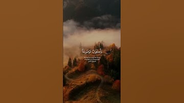 القرآن الكريم . سورة الغاشية.عبدالرحمن مسعد #القران #لايك #راحة_نفسية