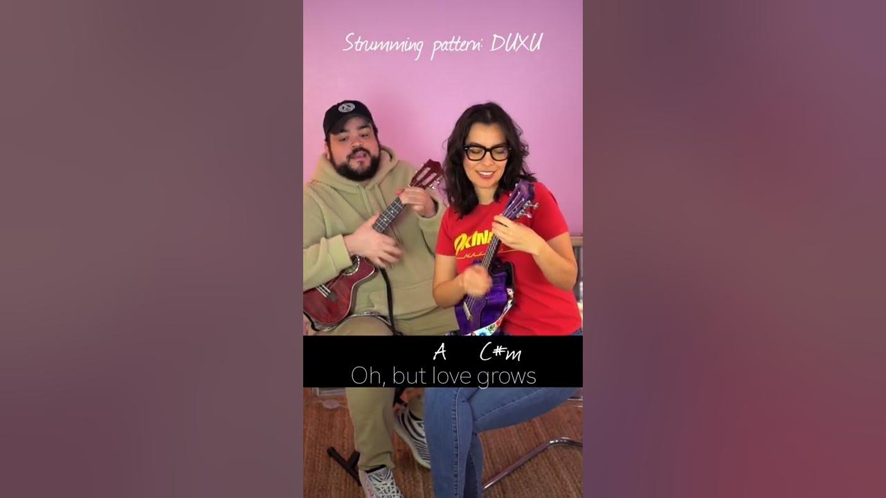 Love Grows (Where My Rosemary Goes) by Edison Lighthouse | Lyrics and Chords Love Grows (Where My Rosemary Goes) by Edison Lighthouse | Lyrics and Chords