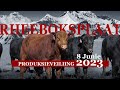 Rheeboksplaat Angus Produksie Veiling 2023 - Ons sien jou daar!