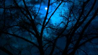 Lifescapes Moonlight  Sonata No. 14: Adagio Sostenuto (Beethoven) Resimi