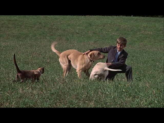 10 фильмов Disney где нет злодея 8 Видео