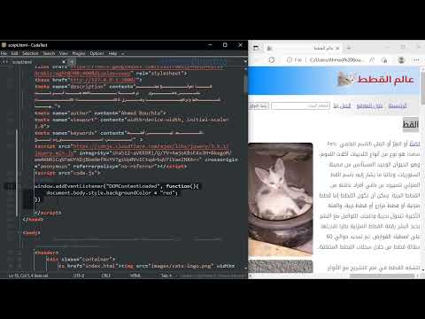 63. عنصر تضمين اكواد جافاسكربت Script