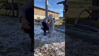 Reiter lieben den Winter!🤝🏼🤣 #pferd #equestrian