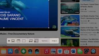 Screen capture on Mac