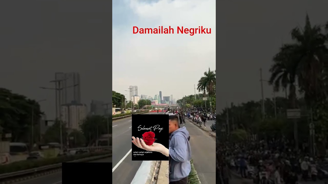 Damailah Negriku 