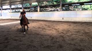 20150202八里馬場3