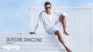 Video thumbnail of "Silvestre Dangond - Animales (Audio)"