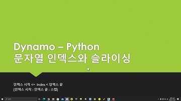 dynamo python