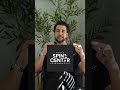 How I Created My Brand.