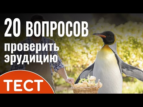 Видео: Как президент проверяет силу викторины Конгресса?