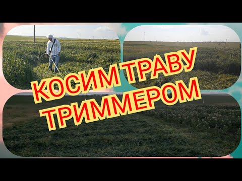 Бензокоса кайман.Обзор и работа