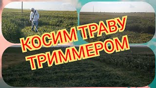 Бензокоса Кайман.обзор И Работа