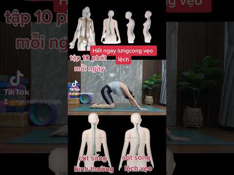 Video: Yoga Mug Blue của Doiy: thu hồi vì nguy cơ hóa chất