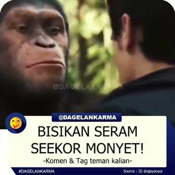 Monyet ngomong udah pada ngopi belum