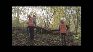 Onderhoud Aan De Groene Long Beijum