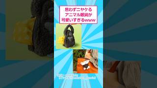 思わずニヤけるアニマル雑貨が可愛すぎるwww #おもしろ #雑貨|ザワつく!おもしろ図鑑