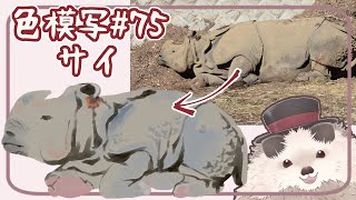 【一緒にお絵描き】色模写の火曜日＃７５【まったり朝活】
