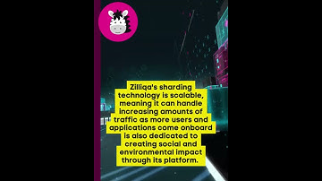Top 10 Things You Need to Know about Zilliqa
