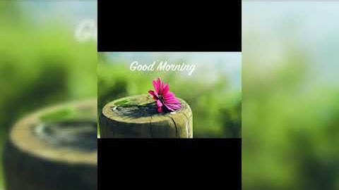 Latest Good morning , special wises , SMS Greeting , cards