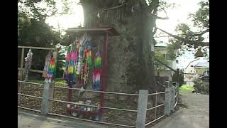 長崎 DCR-VX2000