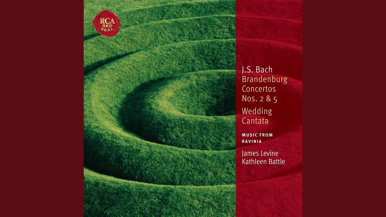 Cantata No. 202 "Weichet nur, betrübte Schatten" (Wedding Cantata) : Recitativo. Drum sucht...
