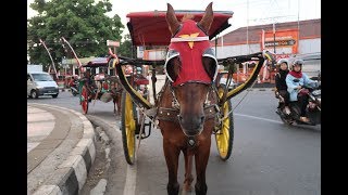 Naik Delman Upin Ipin | Zhafirah Toys