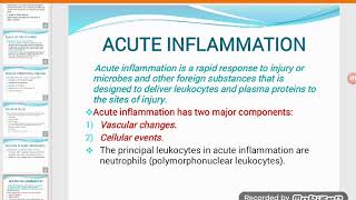 Acute inflammation lecture 3