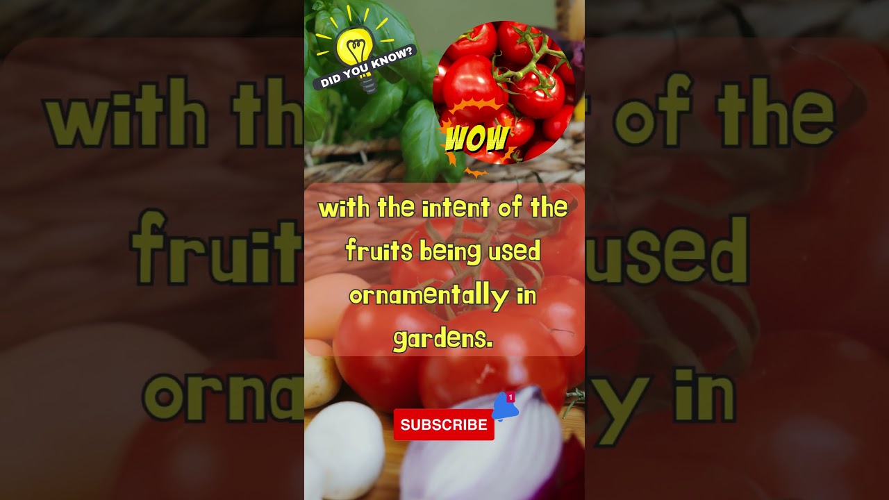Did you know? Tomato Tales: From Fear to Flavorful Feasts!🍅🍅🍅  