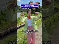 スキーシーズンが終了しましたが、差はオフでつきます！