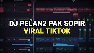 DJ PELAN PELAN PAK SOPIR VIRAL TIKTOK 2023 REMIX FULL BASS