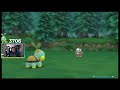 We got the turtle!