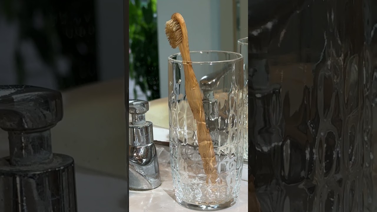 100% Natural Bamboo & Boar Bristle Toothbrush (No Plastic! No Nylon)