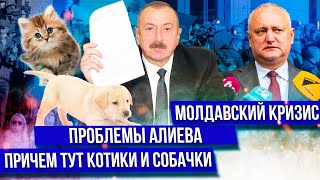 Сложности Баку / Кризис в Молдавии / Кошки и собаки в политике