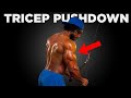How to Do Tricep Pushdowns Correctly for Bigger Triceps (Beginner Guide)