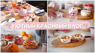 Видео ???? УЮТНЫЙ КРАСИВЫЙ ВЛОГ ????/ ЗАВТРАК В САДУ/ ????ПОКУПКИ HM/ ???????????? НОВИНКИ ДЛЯ САДА (автор: Екатерина Гурьянова)