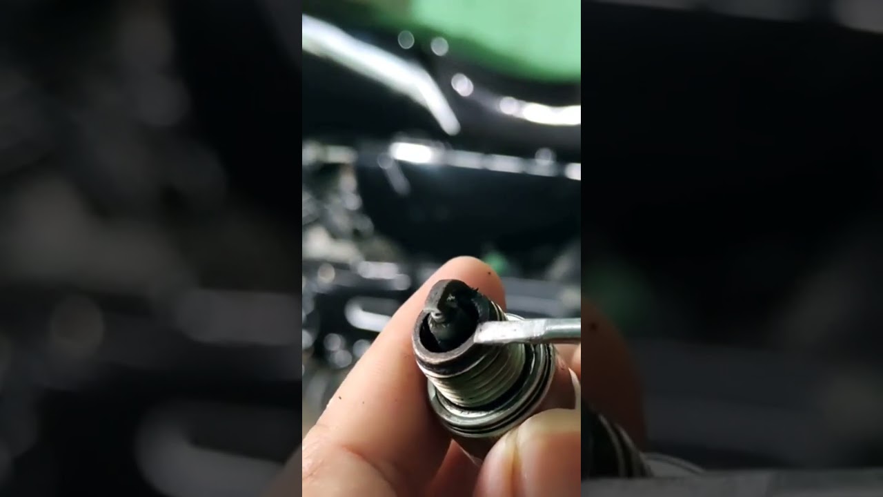 warna busi yang paling pas