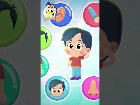 جزء من أغنية الوضوء بدون موسيقى قناة هدهد Hudhud 