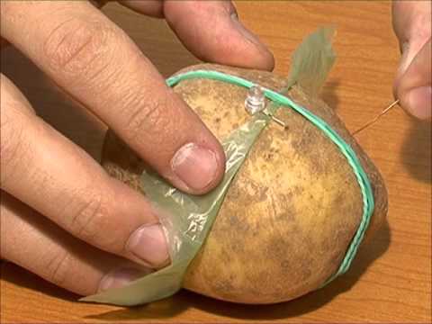 радио из картошки