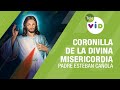 Coronilla de la Divina Misericordia, 24 Noviembre 2020, Padre Esteban Cañola - Tele VID
