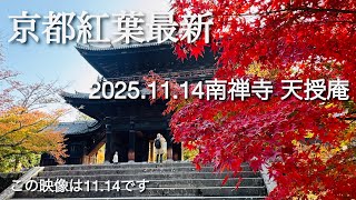 京都紅葉最新🍁南禅寺・あの三門からの景色/天授庵・枯山水庭園と池泉回遊式庭園の２つの庭を持つ美しい寺院
