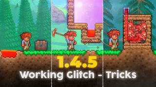 Some Working Glitch & Tricks in Terraria 1.4.5