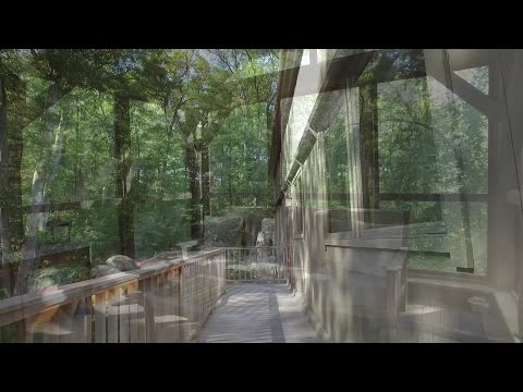 113 Thomas Leighton Blvd, Cumberland, RI home video tour