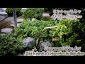 【Japanese Video Art】光射す場所を求めて『希望』/"Hope" in search of a place where the light shines