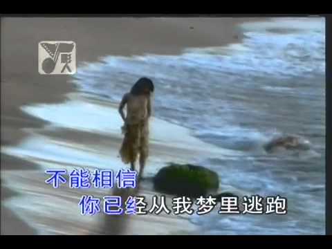 张雨生 以为你都知道