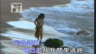 张雨生 以为你都知道