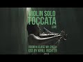 Violin solo TOCCATA live written by Kirill Richter