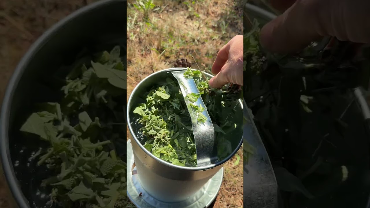 Raising meat rabbits: watering 